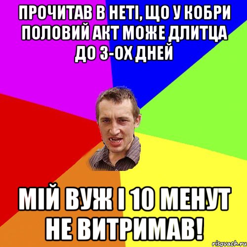 Прочитав в неті, що у кобри половий акт може длитца до 3-ох дней Мій вуж і 10 менут не витримав!, Мем Чоткий паца