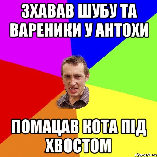 зхавав шубу та вареники у Антохи помацав кота під хвостом, Мем Чоткий паца