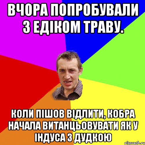 ВЧОРА ПОПРОБУВАЛИ З ЕДІКОМ ТРАВУ. КОЛИ ПІШОВ ВІДЛИТИ, КОБРА НАЧАЛА ВИТАНЦЬОВУВАТИ ЯК У ІНДУСА З ДУДКОЮ, Мем Чоткий паца