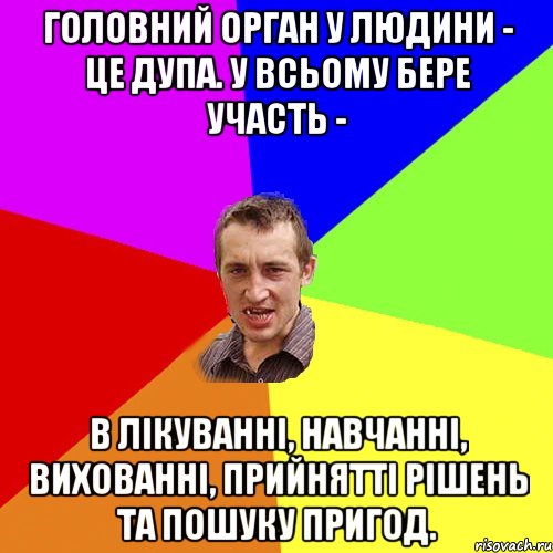 Головний орган у людини - це дупа. У всьому бере участь - в лікуванні, навчанні, вихованні, прийнятті рішень та пошуку пригод., Мем Чоткий паца