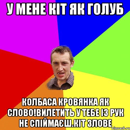 у мене кiт як голуб колбаса кровянка як слово!Вилетить у тебе iз рук не спiймаЄш.кiт злове, Мем Чоткий паца