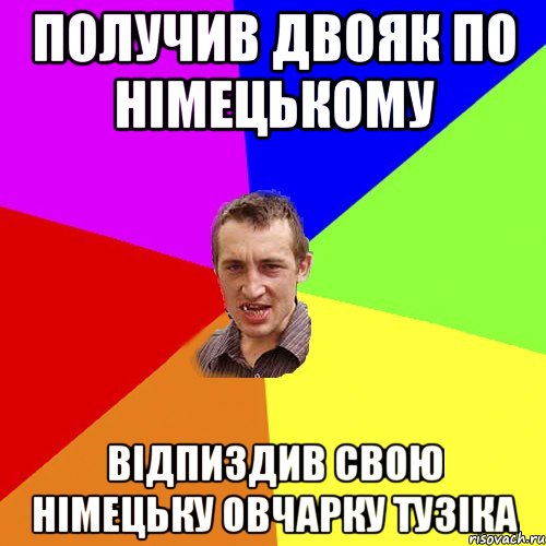 получив двояк по німецькому відпиздив свою німецьку овчарку тузіка, Мем Чоткий паца