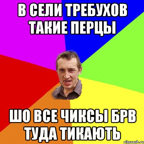 В сели Требухов такие перцы шо все чиксы Брв туда тикають, Мем Чоткий паца