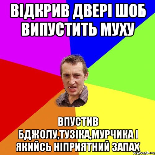 відкрив двері шоб випустить муху впустив бджолу,тузіка,мурчика і якийсь ніприятний запах, Мем Чоткий паца