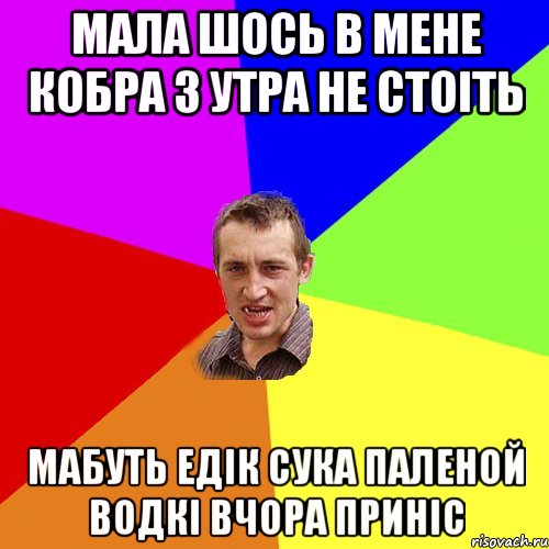 Мала шось в мене кобра з утра не стоіть мабуть едік сука паленой водкі вчора приніс, Мем Чоткий паца