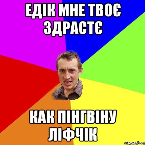 Едік мне твоє здрастє как пінгвіну ліфчік, Мем Чоткий паца