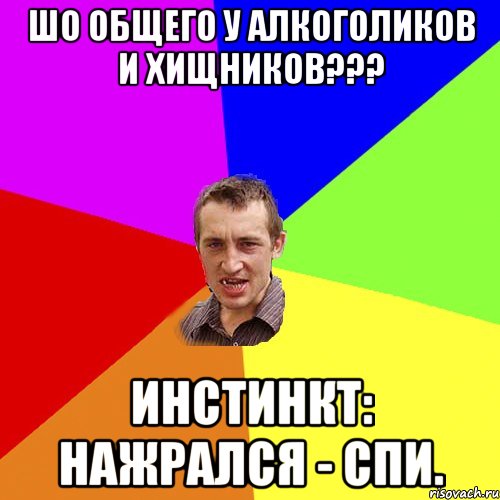 Шо общего у алкоголиков и хищников??? Инстинкт: нажрался - спи., Мем Чоткий паца