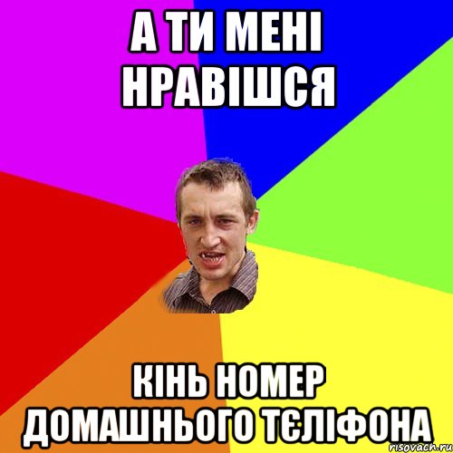 а ти мені нравішся кінь номер домашнього тєліфона, Мем Чоткий паца