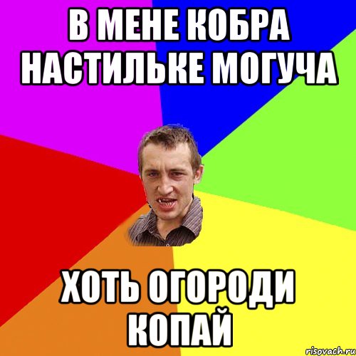 В мене кобра настильке могуча Хоть огороди копай, Мем Чоткий паца