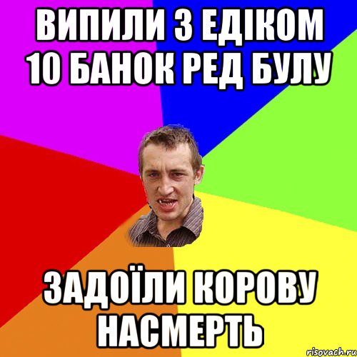 Випили з Едіком 10 банок Ред булу Задоїли корову насмерть, Мем Чоткий паца