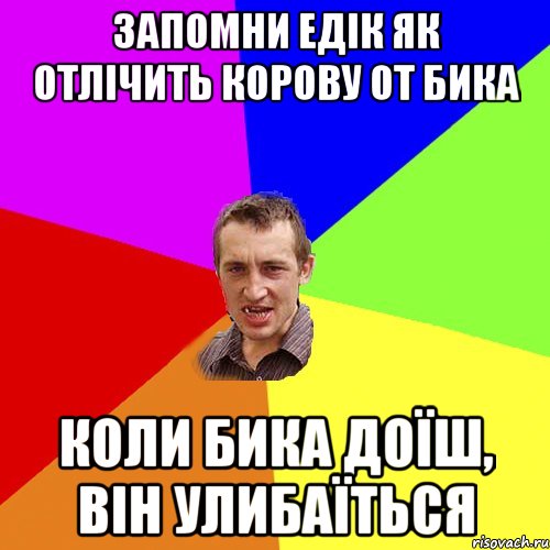 Запомни Едік як отлічить корову от бика Коли бика доїш, він улибаїться, Мем Чоткий паца