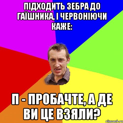 Підходить зебра до гаїшника, і червоніючи каже: П - Пробачте, а де ви це взяли?, Мем Чоткий паца