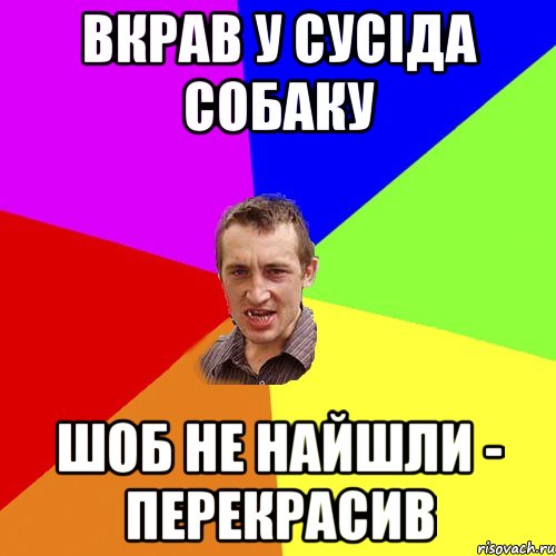 вкрав у сусіда собаку шоб не найшли - перекрасив, Мем Чоткий паца