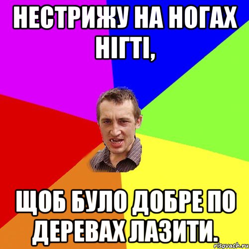 нестрижу на ногах нігті, щоб було добре по деревах лазити., Мем Чоткий паца