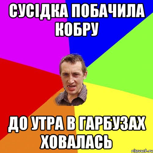 СУСІДКА ПОБАЧИЛА КОБРУ ДО УТРА В ГАРБУЗАХ ХОВАЛАСЬ, Мем Чоткий паца