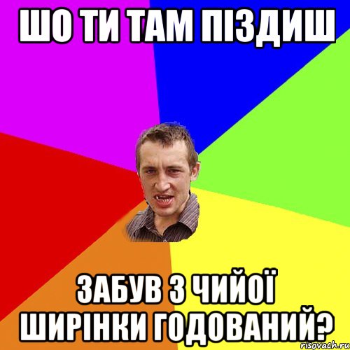 шо ти там піздиш забув з чийої ширінки годований?, Мем Чоткий паца