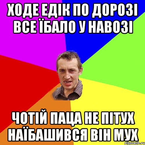 Ходе Едік по дорозі все їбало у навозі Чотій паца не пітух наїбашився він мух, Мем Чоткий паца