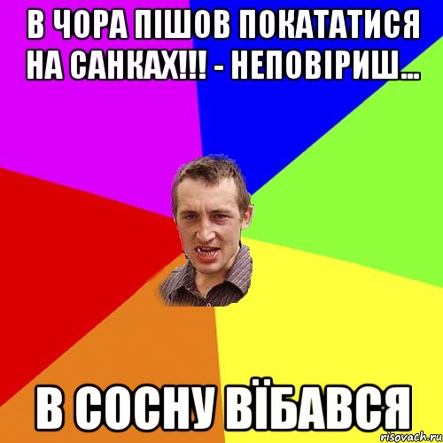 В чора пішов покататися на санках!!! - неповіриш... В сосну вїбався, Мем Чоткий паца