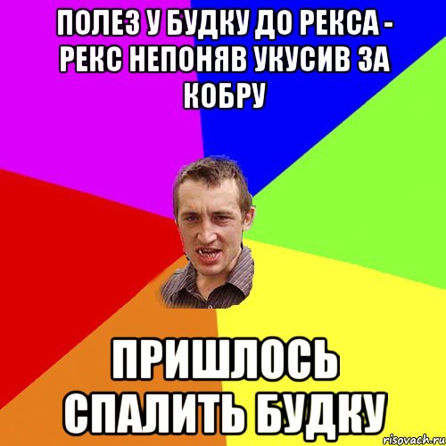 полез у будку до Рекса - Рекс непоняв укусив за кобру пришлось спалить будку, Мем Чоткий паца