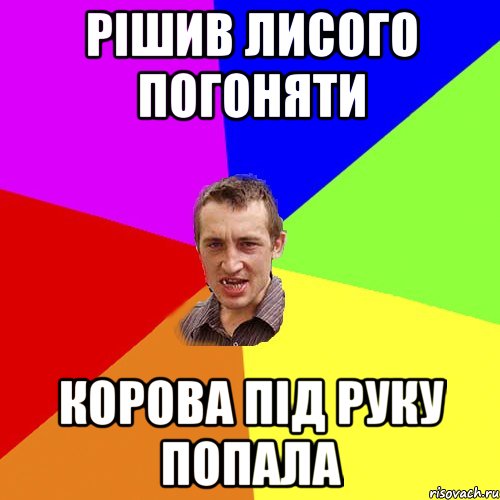 рішив лисого погоняти корова під руку попала, Мем Чоткий паца