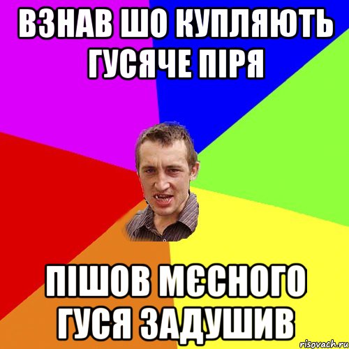 взнав шо купляють гусяче піря пішов мєсного гуся задушив, Мем Чоткий паца