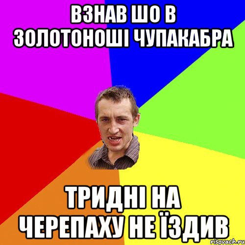 взнав шо в золотоноші чупакабра тридні на черепаху не їздив, Мем Чоткий паца