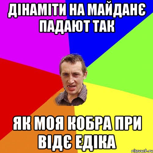 Дінаміти на майданє падают так як моя кобра при відє едіка, Мем Чоткий паца