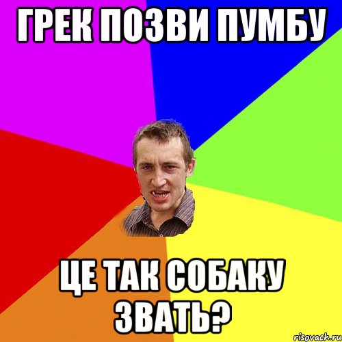 Грек позви Пумбу Це так собаку звать?, Мем Чоткий паца