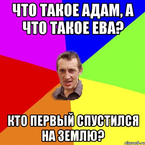 Что такое АДАМ, а что такое ЕВА? Кто первый спустился на землю?, Мем Чоткий паца