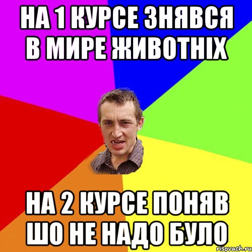 на 1 курсе знявся в мире животніх на 2 курсе поняв шо не надо було, Мем Чоткий паца