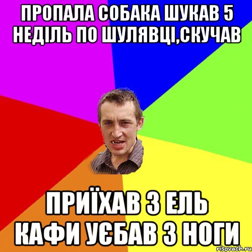 Пропала собака шукав 5 неділь по шулявці,скучав Приїхав з ель кафи уєбав з ноги, Мем Чоткий паца