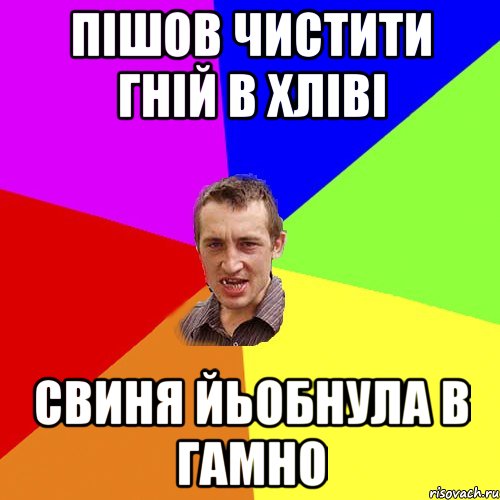 пішов чистити гній в хліві свиня йьобнула в гамно, Мем Чоткий паца