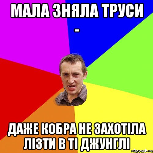 мала зняла труси - даже кобра не захотіла лізти в ті джунглі, Мем Чоткий паца