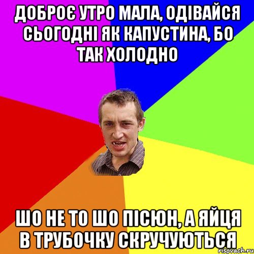 Доброє утро мала, одівайся сьогодні як капустина, бо так холодно шо не то шо пісюн, а яйця в трубочку скручуються, Мем Чоткий паца