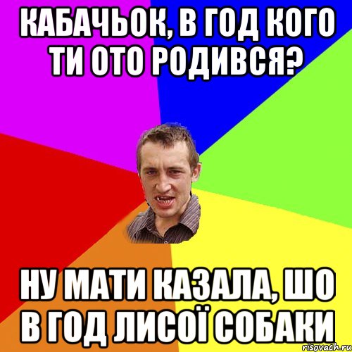 кабачьок, в год кого ти ото родився? ну мати казала, шо в год лисої собаки, Мем Чоткий паца