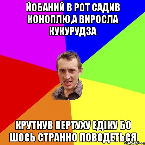 ЙОБАНИЙ В РОТ САДИВ КОНОПЛЮ,А ВИРОСЛА КУКУРУДЗА КРУТНУВ ВЕРТУХУ ЕДІКУ БО ШОСЬ СТРАННО ПОВОДЕТЬСЯ, Мем Чоткий паца