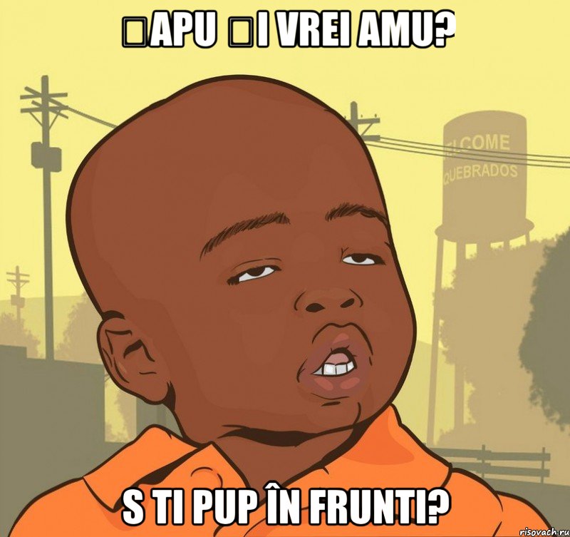 șapu și vrei amu? S TI PUP ÎN FRUNTI?, Мем Пацан наркоман