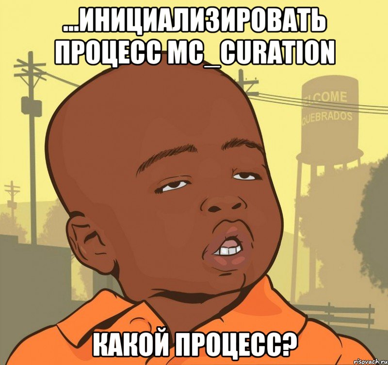 ...инициализировать процесс MC_Curation какой процесс?, Мем Пацан наркоман