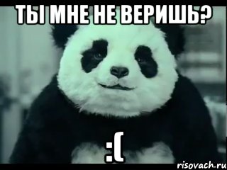 Ты мне не веришь? :(