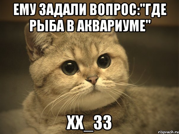 Ему задали вопрос:"Где рыба в аквариуме" ХХ_ЗЗ, Мем Пидрила ебаная котик