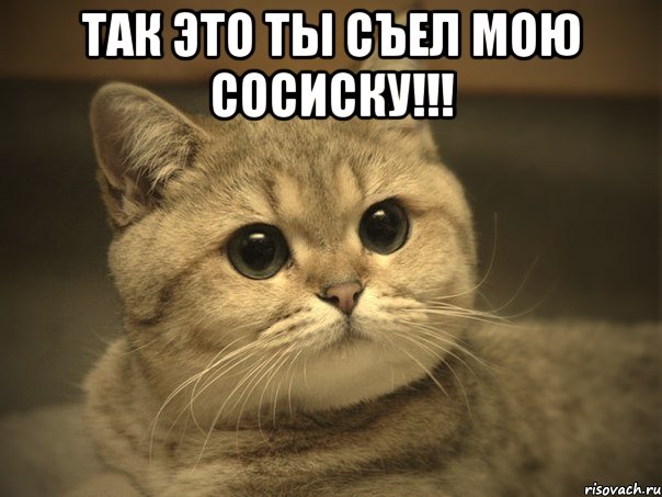 Так это ты съел мою сосиску!!! , Мем Пидрила ебаная котик