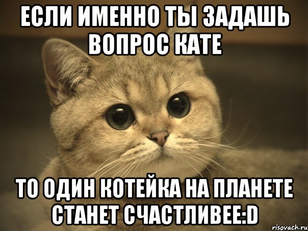 Если именно ты задашь вопрос Кате То один котейка на планете станет счастливее:D, Мем Пидрила ебаная котик