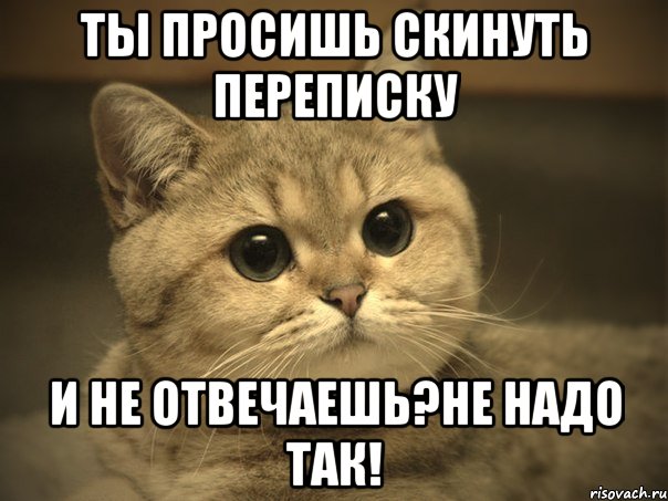 ты просишь скинуть переписку и не отвечаешь?не надо так!, Мем Пидрила ебаная котик