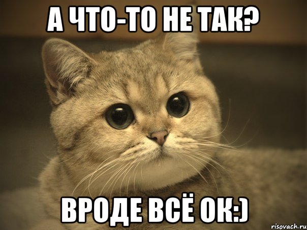 а что-то не так? вроде всё ок:), Мем Пидрила ебаная котик