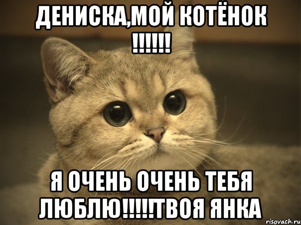 Дениска,мой КОТЁНОК !!!!!! Я ОЧЕНЬ ОЧЕНЬ ТЕБЯ ЛЮБЛЮ!!!!!Твоя ЯНКА, Мем Пидрила ебаная котик