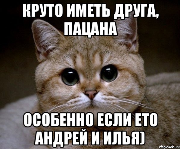 Круто иметь друга, пацана особенно если ето Андрей и Илья), Мем Пидрила Ебаная