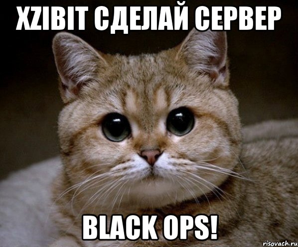 Xzibit сделай сервер Black ops!, Мем Пидрила Ебаная