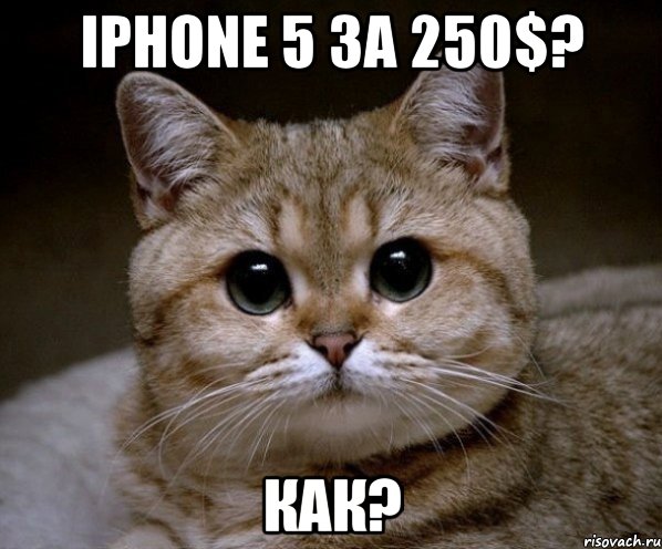 iPhone 5 за 250$? Как?, Мем Пидрила Ебаная
