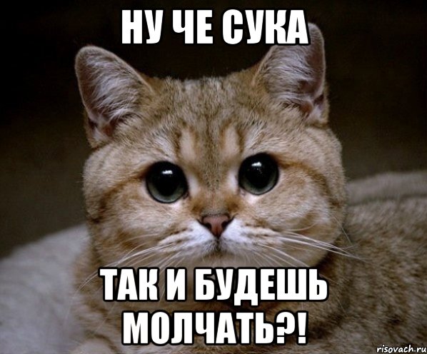 ну че СУКА так и будешь молчать?!, Мем Пидрила Ебаная