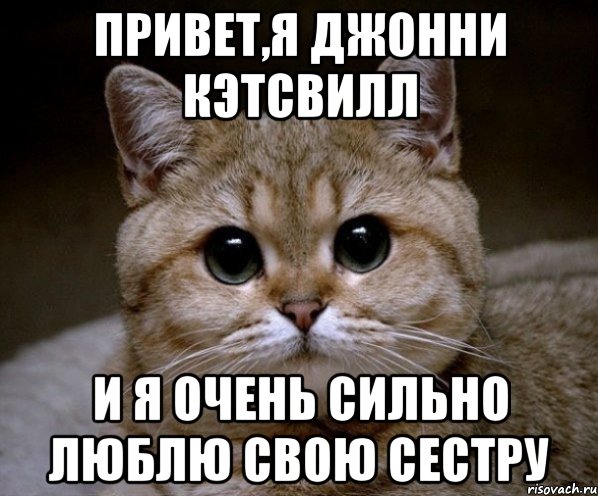 Привет,я Джонни Кэтсвилл И я очень сильно люблю свою сестру, Мем Пидрила Ебаная